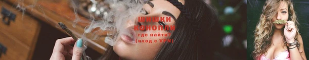 бошки Богданович